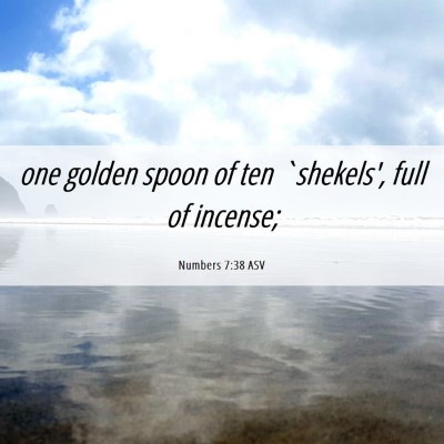 Picture 06 - Numbers 7:38 ASV - one golden spoon of ten `shekels', full of - Bible Verse Picture