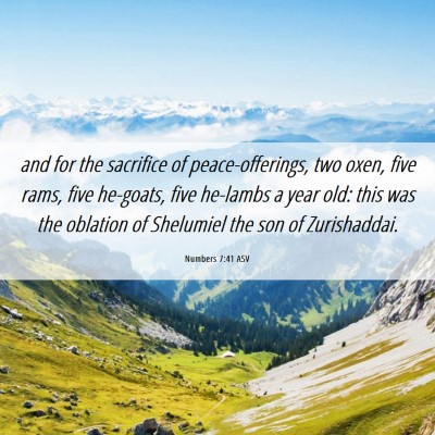 Picture 06 - Numbers 7:41 ASV - and for the sacrifice of peace-offerings, two - Bible Verse Picture
