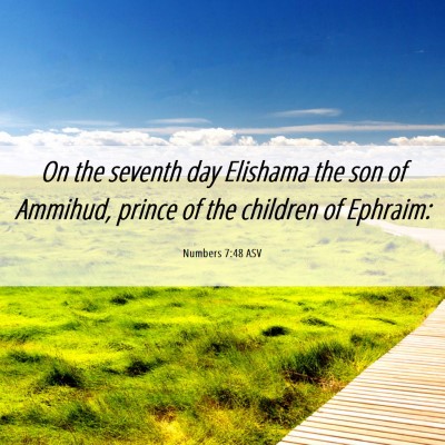 Picture 06 - Numbers 7:48 ASV - On the seventh day Elishama the son of Ammihud, - Bible Verse Picture