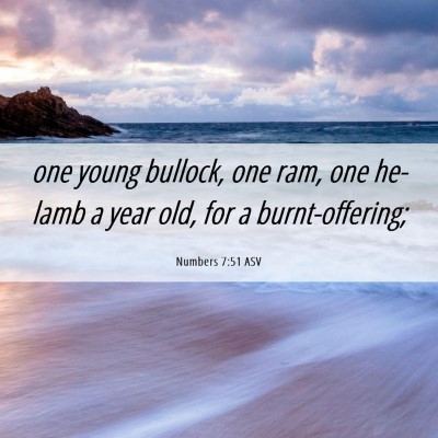 Picture 06 - Numbers 7:51 ASV - one young bullock, one ram, one he-lamb a year - Bible Verse Picture