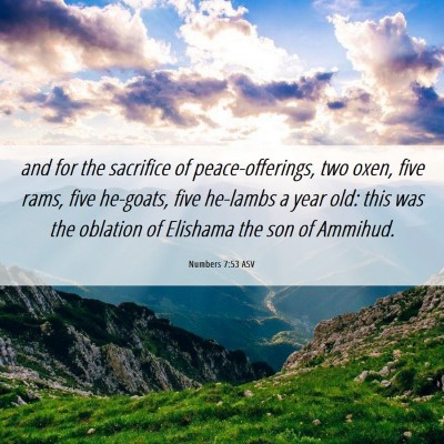 Picture 06 - Numbers 7:53 ASV - and for the sacrifice of peace-offerings, two - Bible Verse Picture