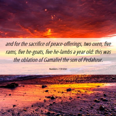 Picture 06 - Numbers 7:59 ASV - and for the sacrifice of peace-offerings, two - Bible Verse Picture
