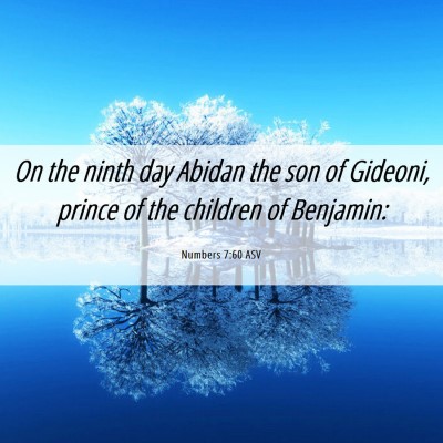 Picture 06 - Numbers 7:60 ASV - On the ninth day Abidan the son of Gideoni, - Bible Verse Picture