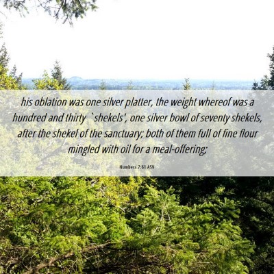 Picture 06 - Numbers 7:61 ASV - his oblation was one silver platter, the weight - Bible Verse Picture