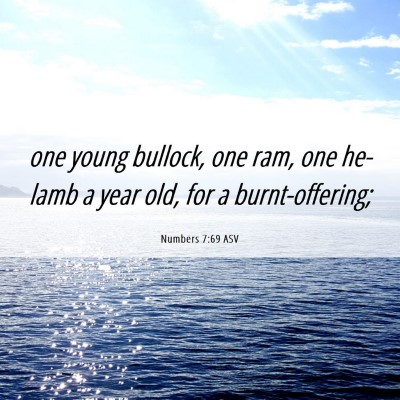Picture 06 - Numbers 7:69 ASV - one young bullock, one ram, one he-lamb a year - Bible Verse Picture