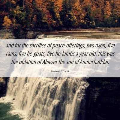Picture 06 - Numbers 7:71 ASV - and for the sacrifice of peace-offerings, two - Bible Verse Picture