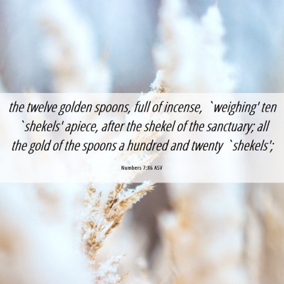 Picture 06 - Numbers 7:86 ASV - the twelve golden spoons, full of incense, - Bible Verse Picture