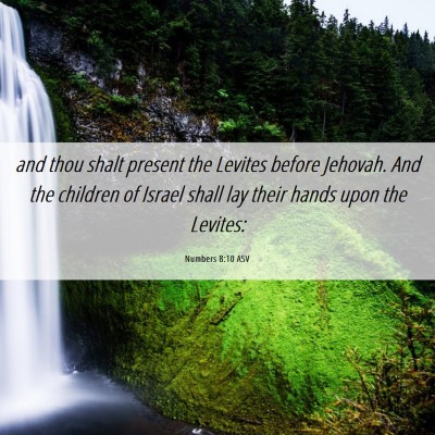 Picture 06 - Numbers 8:10 ASV - and thou shalt present the Levites before - Bible Verse Picture