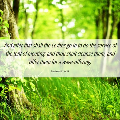 Picture 06 - Numbers 8:15 ASV - And after that shall the Levites go in to do the - Bible Verse Picture