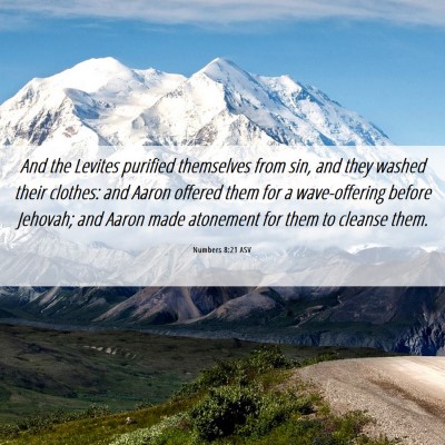 Picture 06 - Numbers 8:21 ASV - And the Levites purified themselves from sin, and - Bible Verse Picture