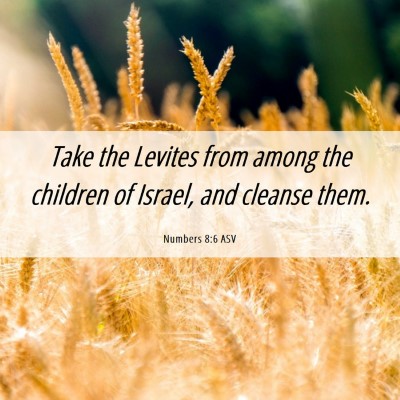 Picture 06 - Numbers 8:6 ASV - Take the Levites from among the children of - Bible Verse Picture