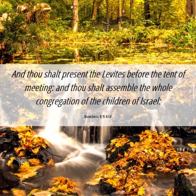 Picture 06 - Numbers 8:9 ASV - And thou shalt present the Levites before the - Bible Verse Picture