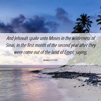 Picture 06 - Numbers 9:1 ASV - And Jehovah spake unto Moses in the wilderness of - Bible Verse Picture