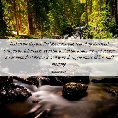 Picture 06 - Numbers 9:15 ASV - And on the day that the tabernacle was reared up - Bible Verse Picture