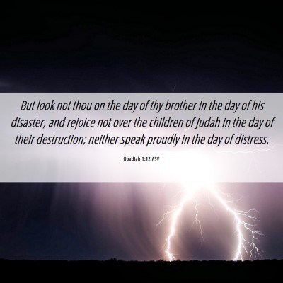 Picture 06 - Obadiah 1:12 ASV - But look not thou on the day of thy brother in - Bible Verse Picture
