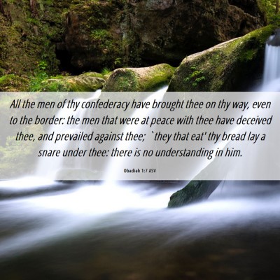 Picture 06 - Obadiah 1:7 ASV - All the men of thy confederacy have brought thee - Bible Verse Picture