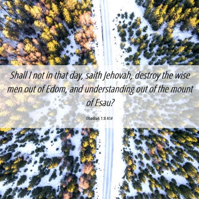 Picture 06 - Obadiah 1:8 ASV - Shall I not in that day, saith Jehovah, destroy - Bible Verse Picture