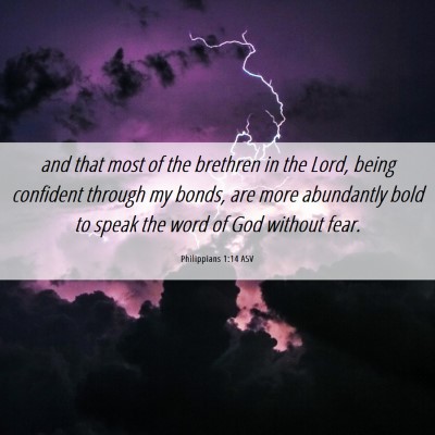 Picture 06 - Philippians 1:14 ASV - and that most of the brethren in the Lord, being - Bible Verse Picture