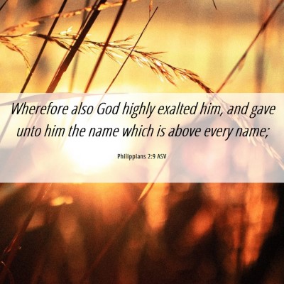 Picture 06 - Philippians 2:9 ASV - Wherefore also God highly exalted him, and gave - Bible Verse Picture