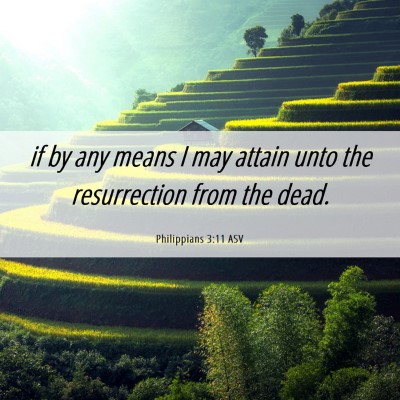 Picture 06 - Philippians 3:11 ASV - if by any means I may attain unto the - Bible Verse Picture