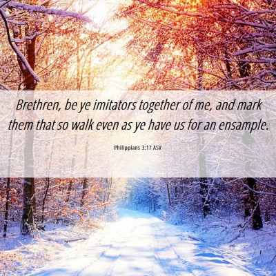 Picture 06 - Philippians 3:17 ASV - Brethren, be ye imitators together of me, and - Bible Verse Picture