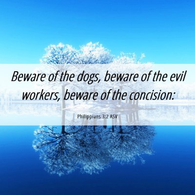 Picture 06 - Philippians 3:2 ASV - Beware of the dogs, beware of the evil workers, - Bible Verse Picture
