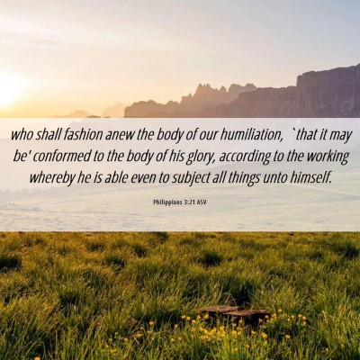 Picture 06 - Philippians 3:21 ASV - who shall fashion anew the body of our - Bible Verse Picture