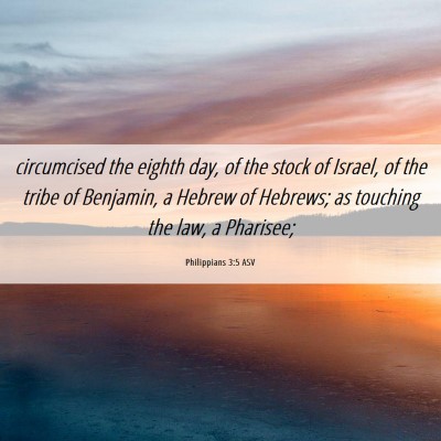 Picture 06 - Philippians 3:5 ASV - circumcised the eighth day, of the stock of - Bible Verse Picture