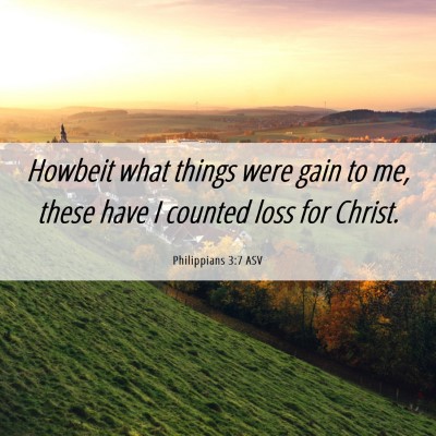 Picture 06 - Philippians 3:7 ASV - Howbeit what things were gain to me, these have I - Bible Verse Picture