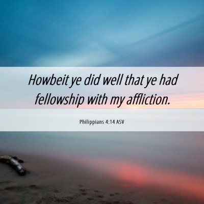 Picture 06 - Philippians 4:14 ASV - Howbeit ye did well that ye had fellowship with - Bible Verse Picture
