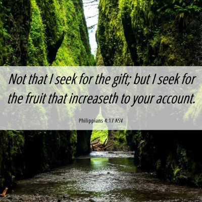 Picture 06 - Philippians 4:17 ASV - Not that I seek for the gift; but I seek for the - Bible Verse Picture
