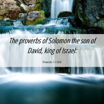 Picture 06 - Proverbs 1:1 ASV - The proverbs of Solomon the son of David, king of - Bible Verse Picture