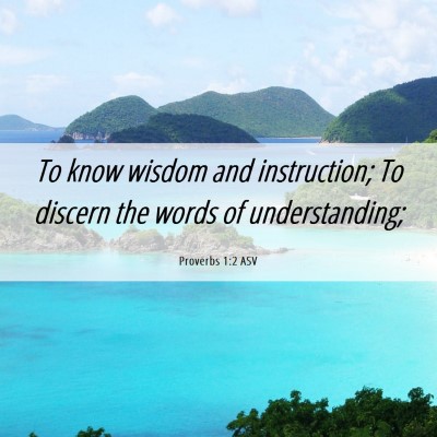 Picture 06 - Proverbs 1:2 ASV - To know wisdom and instruction; To discern the - Bible Verse Picture