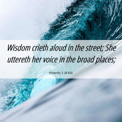 Picture 06 - Proverbs 1:20 ASV - Wisdom crieth aloud in the street; She uttereth - Bible Verse Picture