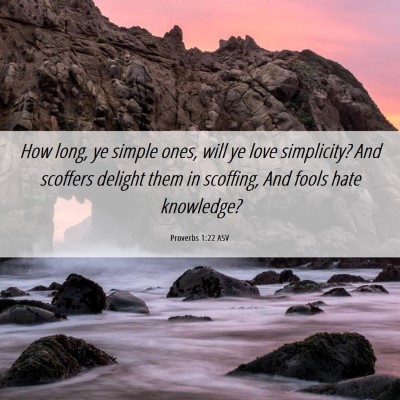 Picture 06 - Proverbs 1:22 ASV - How long, ye simple ones, will ye love - Bible Verse Picture