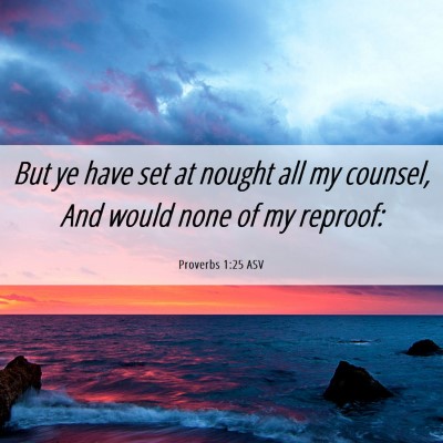 Picture 06 - Proverbs 1:25 ASV - But ye have set at nought all my counsel, And - Bible Verse Picture