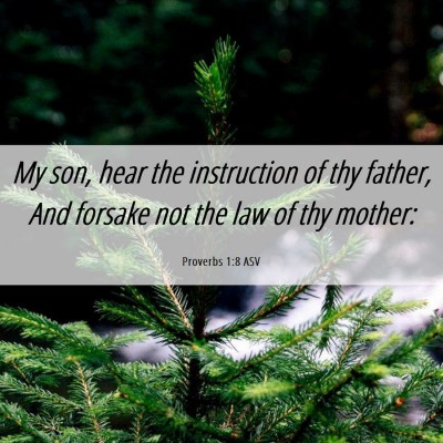 Picture 06 - Proverbs 1:8 ASV - My son, hear the instruction of thy father, And - Bible Verse Picture