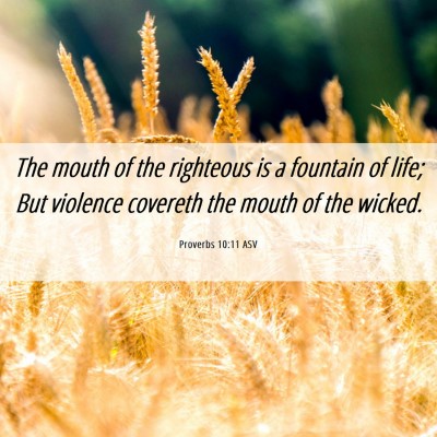 Picture 06 - Proverbs 10:11 ASV - The mouth of the righteous is a fountain of life; - Bible Verse Picture