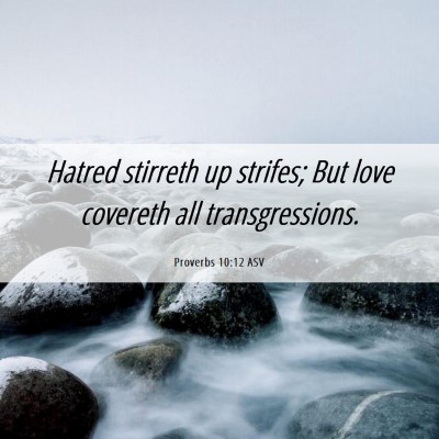 Picture 06 - Proverbs 10:12 ASV - Hatred stirreth up strifes; But love covereth all - Bible Verse Picture