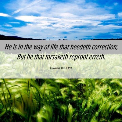 Picture 06 - Proverbs 10:17 ASV - He is in the way of life that heedeth correction; - Bible Verse Picture