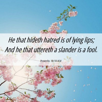 Picture 06 - Proverbs 10:18 ASV - He that hideth hatred is of lying lips; And he - Bible Verse Picture