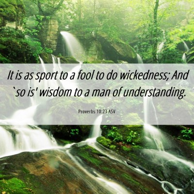 Picture 06 - Proverbs 10:23 ASV - It is as sport to a fool to do wickedness; And - Bible Verse Picture