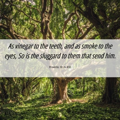 Picture 06 - Proverbs 10:26 ASV - As vinegar to the teeth, and as smoke to the - Bible Verse Picture