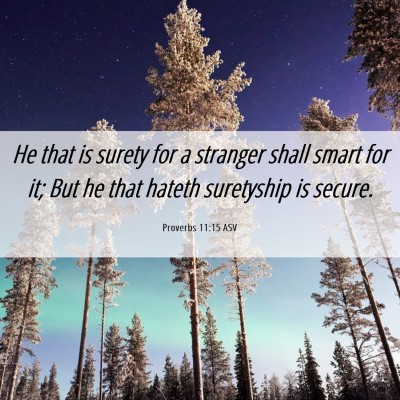 Picture 06 - Proverbs 11:15 ASV - He that is surety for a stranger shall smart for - Bible Verse Picture