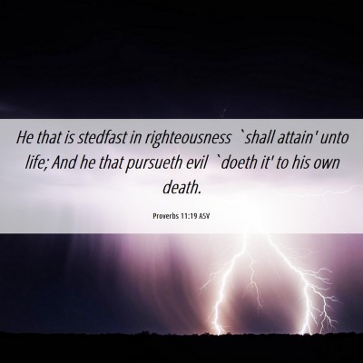 Picture 06 - Proverbs 11:19 ASV - He that is stedfast in righteousness `shall - Bible Verse Picture