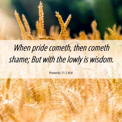 Picture 06 - Proverbs 11:2 ASV - When pride cometh, then cometh shame; But with - Bible Verse Picture