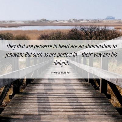 Picture 06 - Proverbs 11:20 ASV - They that are perverse in heart are an - Bible Verse Picture