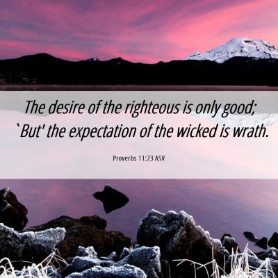 Picture 06 - Proverbs 11:23 ASV - The desire of the righteous is only good; `But' - Bible Verse Picture
