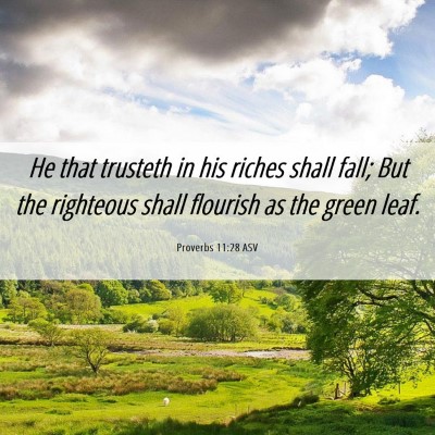 Picture 06 - Proverbs 11:28 ASV - He that trusteth in his riches shall fall; But - Bible Verse Picture