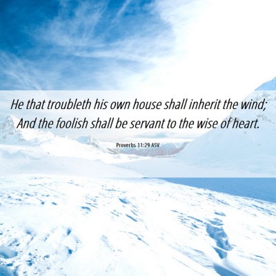 Picture 06 - Proverbs 11:29 ASV - He that troubleth his own house shall inherit the - Bible Verse Picture